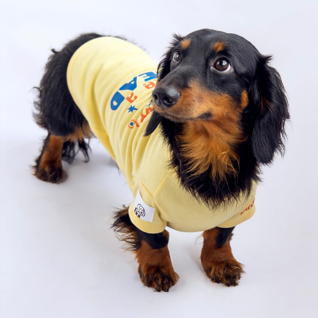 Salchicha con camiseta manga corta para perros estampada take a bread - Good Bark