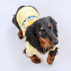 Salchicha con camiseta manga corta para perros estampada take a bread - Good Bark