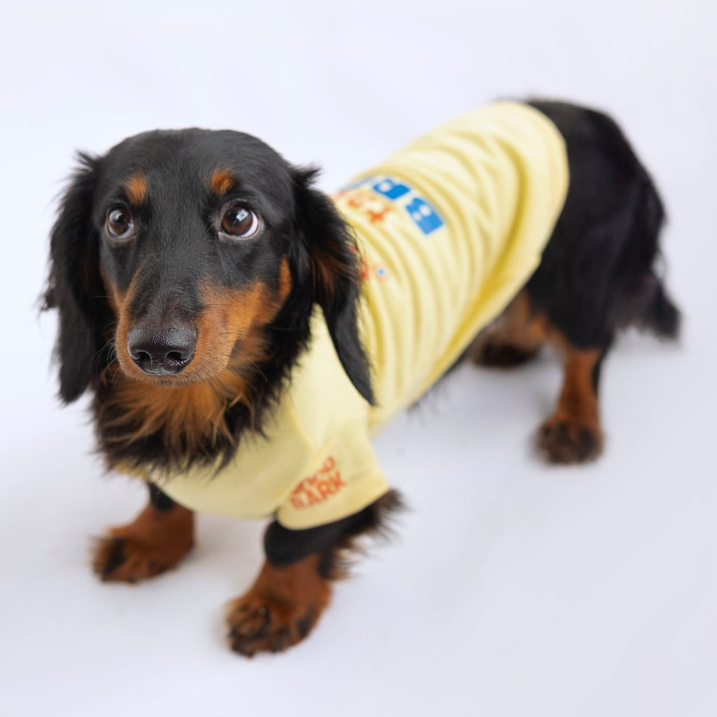 Salchicha con camiseta manga corta para perros estampada take a bread - Good Bark