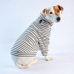 Jack Rusell con suéter en tejido de punto blanco de rayas negras - Good Bark