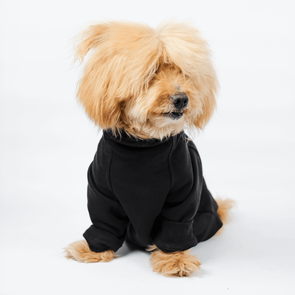 Perro con buzo 90% algodón de alto gramaje estampado con broches laterales, Good Bark