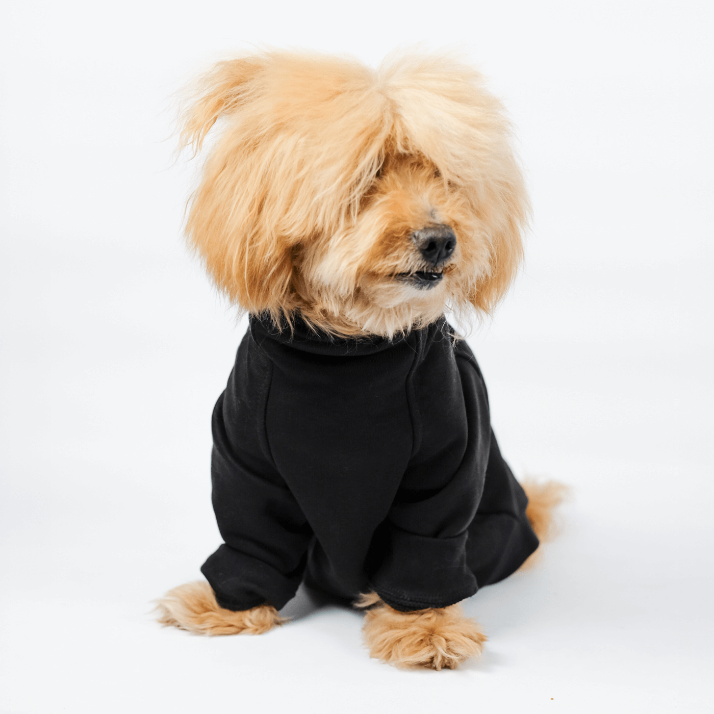 Perro con buzo 90% algodón de alto gramaje estampado con broches laterales, Good Bark