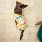 Salchicha con camiseta manga corta estampada pawsitive vives - Good Bark