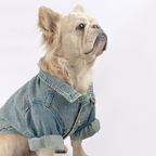 Chaqueta Denim Ligera