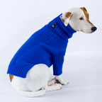Jack Russell con suéter tejido azul - Good Bark