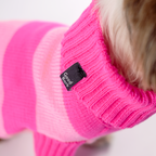 Shih Tzu con suéter tejido fucsia y rosado - Good Bark